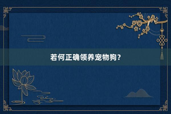 若何正确领养宠物狗？